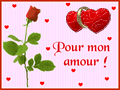 pour mon amour